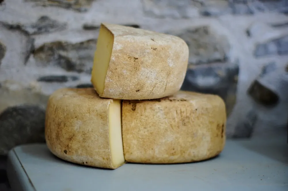 Provolone Maturado